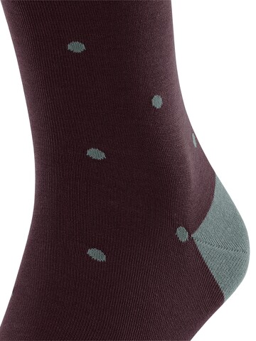FALKE Knee High Socks 'Dot' in Red