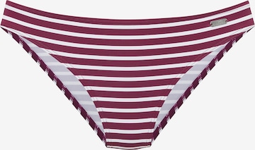 VENICE BEACHBikini donji dio - crvena boja: prednji dio