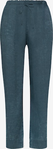 DEHA Pants in Blue: front