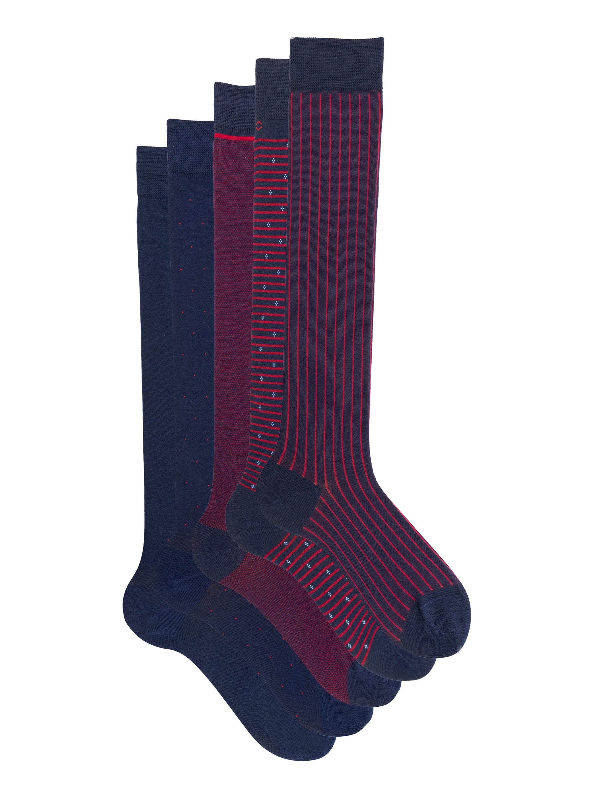 Ciocca Knee High Socks 'ELEGANT GIFT BOX' in Mixed colors: front