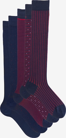 Ciocca - Calcetines hasta la rodilla 'ELEGANT GIFT BOX' en Mezcla de colores: frente