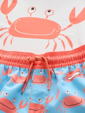 Next - Conjunto en azul
