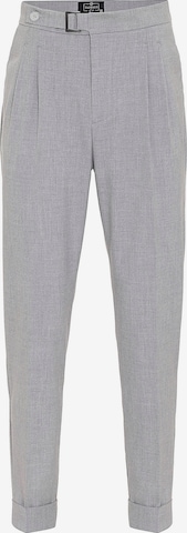 Dandaloregular Hlače s naborima - siva boja: prednji dio