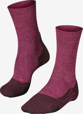 FALKE Sportsocken 'TK2 Explore Wool' in Rot: Vorderseite