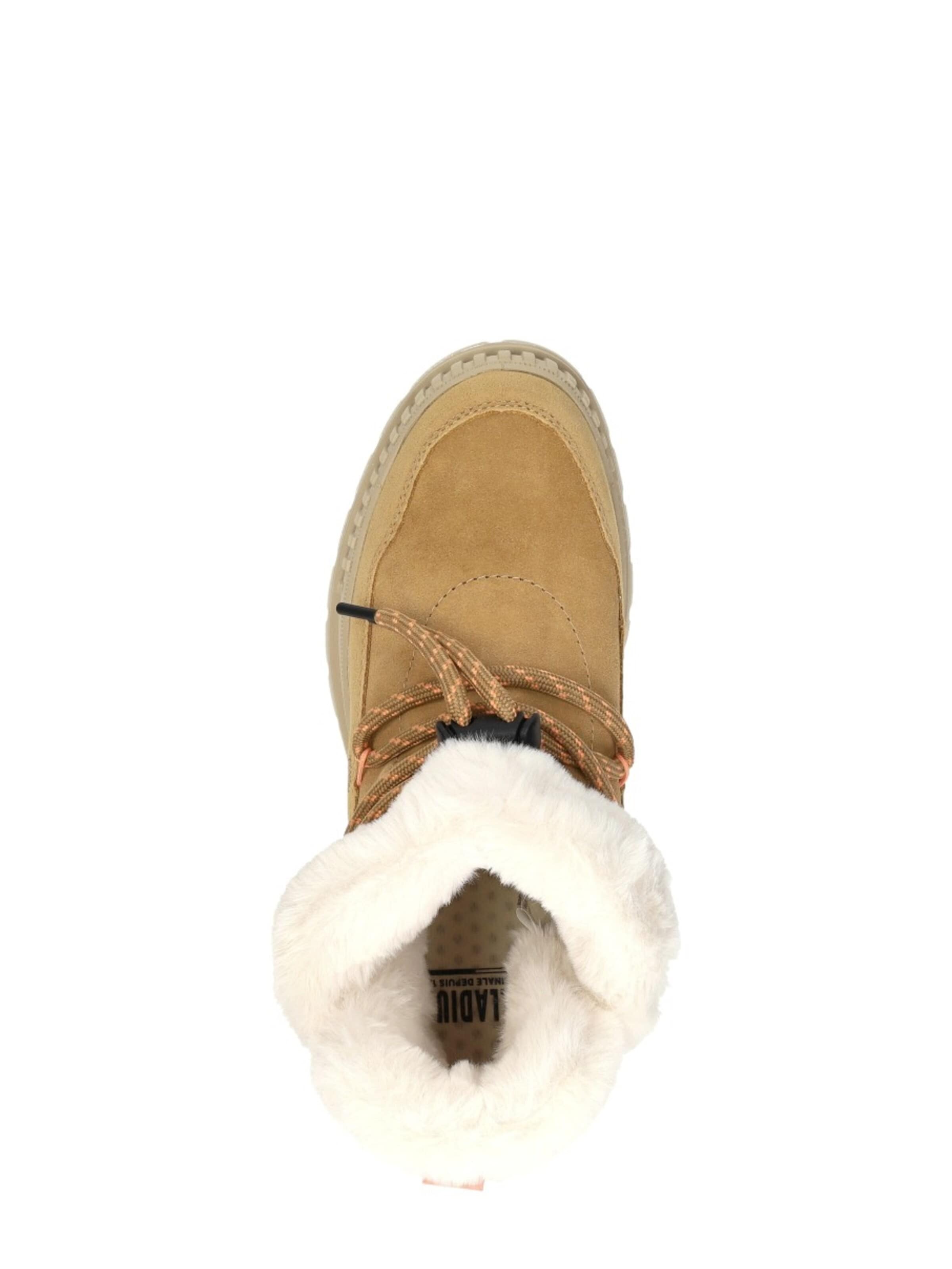 Palladium Boots 'Pallashock Lo Hiver' in Bruin