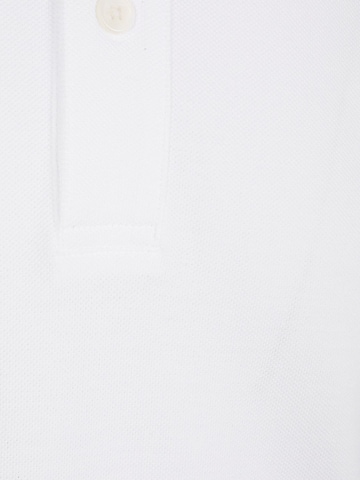 Profuomo Shirt in White