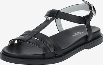 Nero Giardini Sandalen met riem in Zwart: voorkant