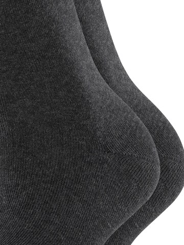 ESPRIT Socken 'Uni 2-Pack'‌‌‌‌ in Grau