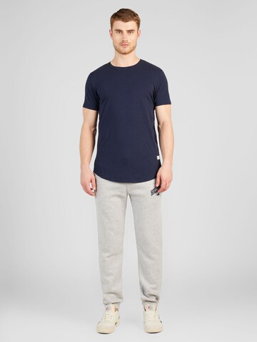 HOLLISTER Tapered Παντελόνι σε γκρι