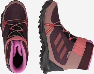 ADIDAS TERREX Boots 'Snow Cold.Rdy Winter' i lilla