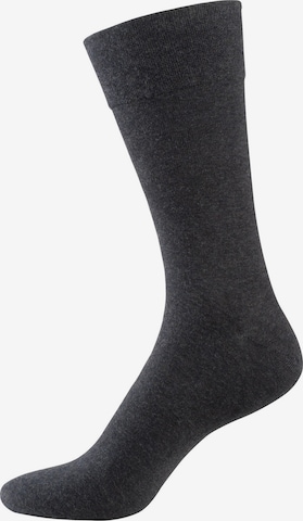 Nur Der Socken 'Komfort' in Grau: predná strana