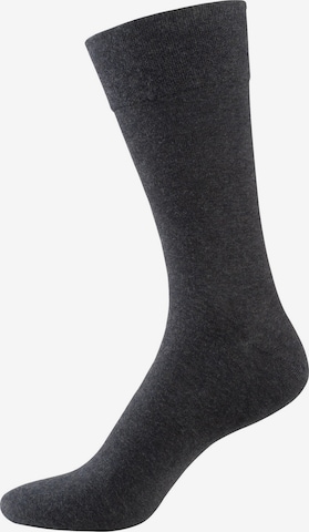 Nur Der Socks in Grey