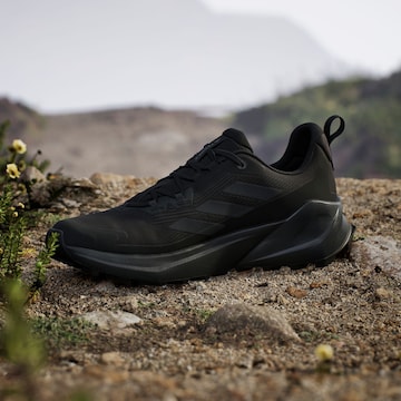 Chaussure basse 'Trailmaker 2' ADIDAS TERREX en noir