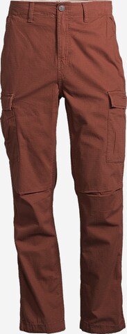 Regular Pantalon cargo AÉROPOSTALE en marron : devant