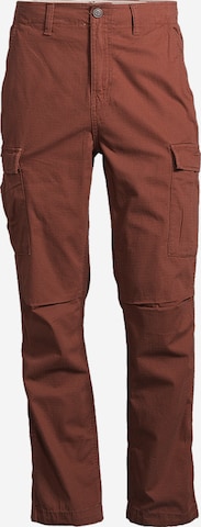 Pantalon cargo AÉROPOSTALE en marron : devant