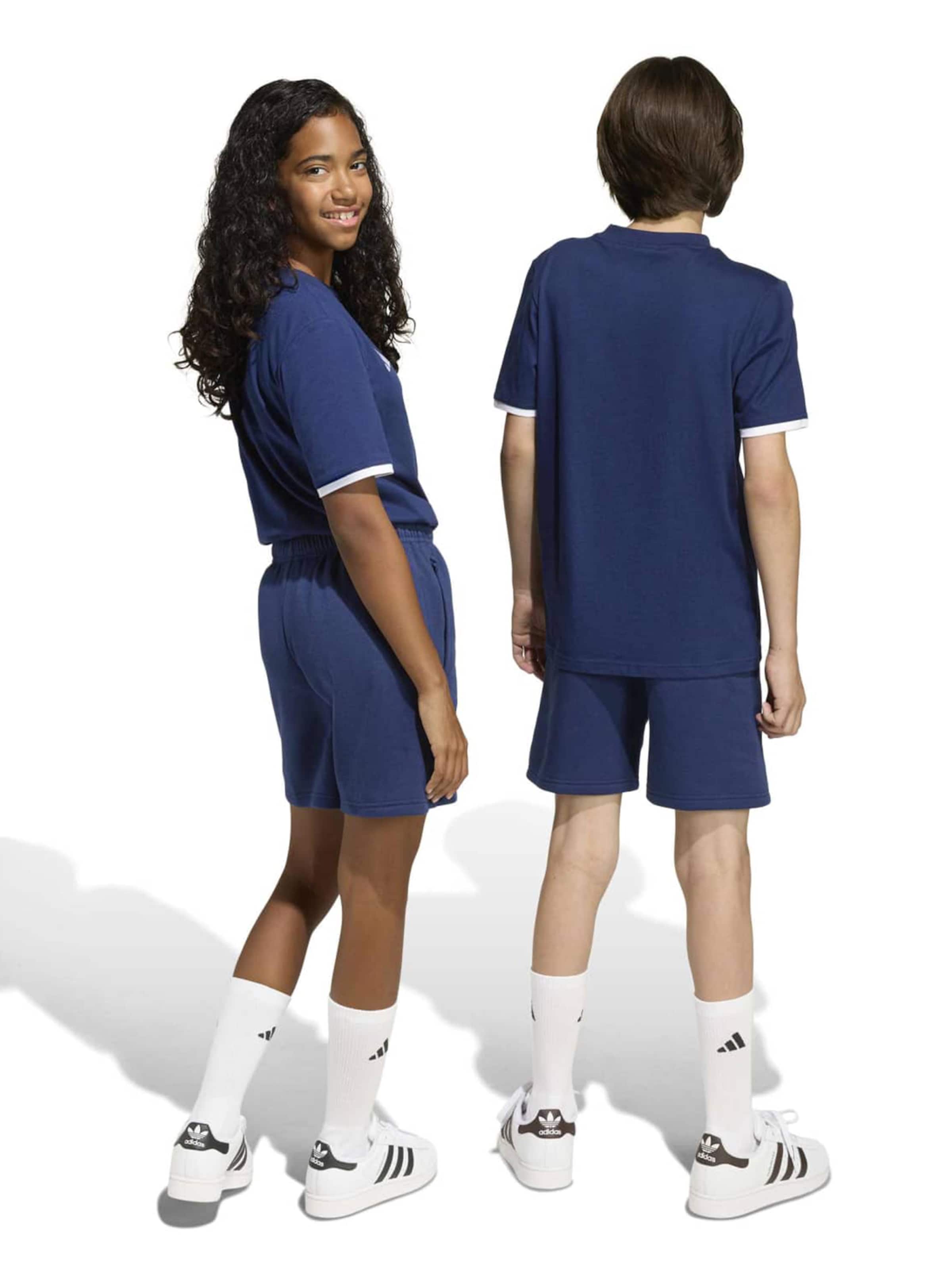 ADIDAS PERFORMANCE regular Παντελόνι φόρμας 'ENT26' σε μπλε