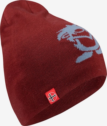 TROLLKIDS Hat in Brown: front