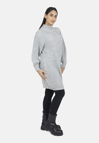 Elara Knit dress in Grey