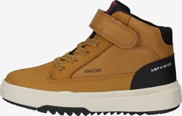 GEOX Sneaker in Braun