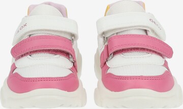 Sneaker di GEOX in rosa