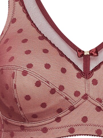 SUSA BH 'limited'‌‌‌‌‌‌‌‌ in Rot