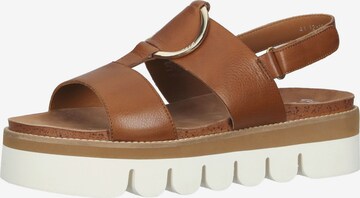 ARA Strap Sandals in Brown: front