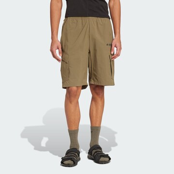 Loosefit Pantaloni per outdoor 'Xploric' di ADIDAS TERREX in verde: frontale