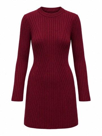 Robes en maille 'Strickkleider' Ethiquet en rouge : devant