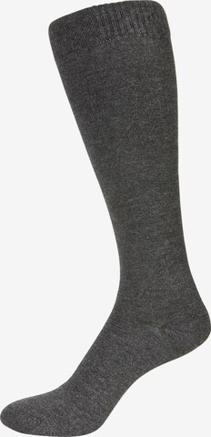 Nur Der Knee High Socks in Grey: front