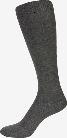 Chaussettes montantes Nur Der en gris : devant