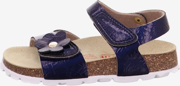 SUPERFIT Sandals in Blue