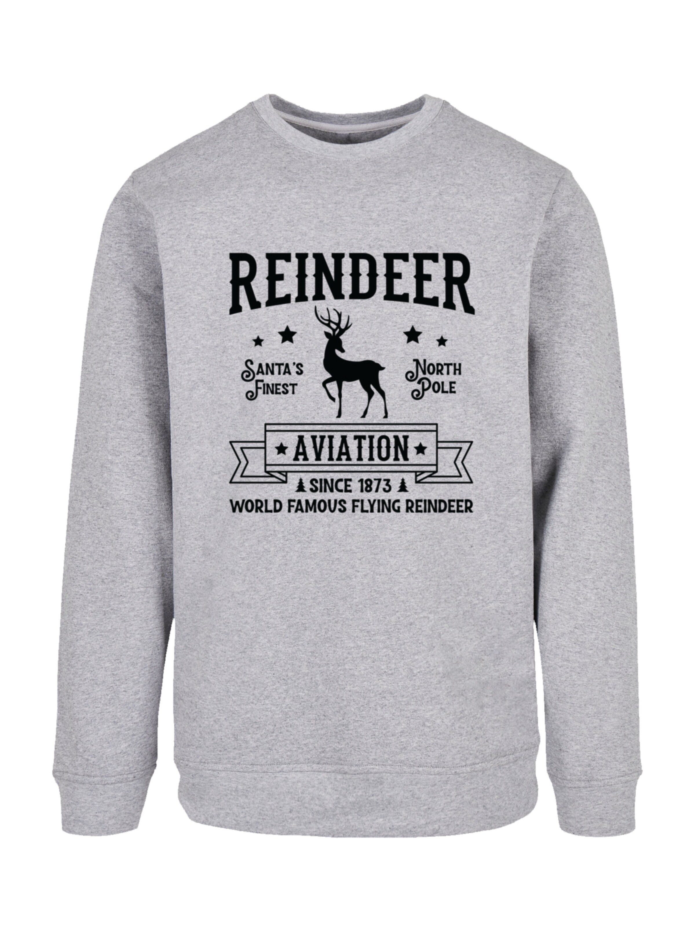 Sweat-shirt 'Reindeer Aviation Retro' F4NT4STIC en gris : devant