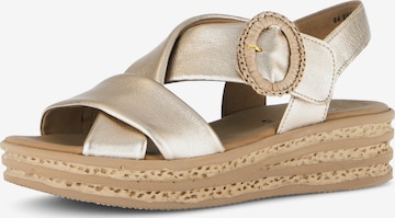GABOR Sandale in Bronze: Vorderseite