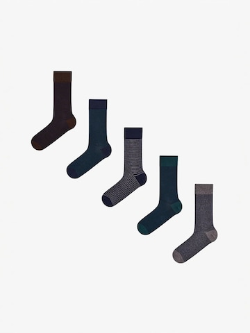 Penti Nogavice 'PENTI Pinestripe Baumwollsocken im 2er-Pack' | modra barva: sprednja stran