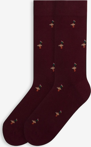 Von Jungfeld Socks 'mit Weihnachtsmotiven' in Red: front