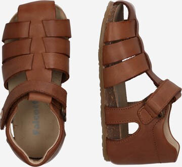 Falcotto Sandals & Slippers 'Alby' in Brown