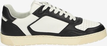 SIOUX Sneakers laag 'Tedroso-704' in Zwart