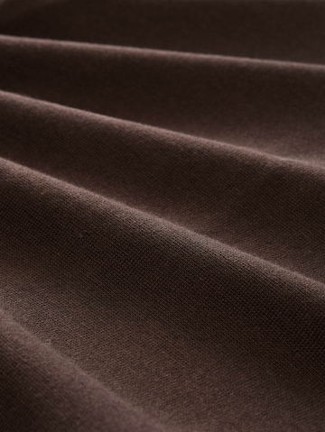 TOM TAILOR Sweater in Brown