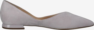 Högl Ballet Flats in Purple