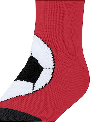 FALKE Socken 'Active Soccer'‌‌‌‌‌‌‌‌‌‌ in Rot