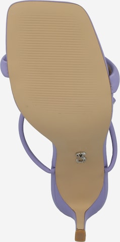 STEVE MADDEN Sandals 'Entice' in Purple