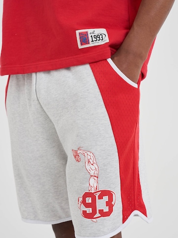 AND1 Štandardný strih Nohavice - Sivá