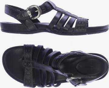 TIMBERLAND Sandals & High-Heeled Sandals in 40,5 in Black: front