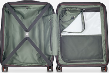 Delsey Paris Cart in Green