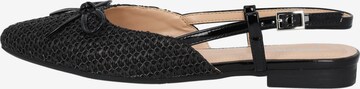 Ballerines 'Yvnee' Palado en noir : devant