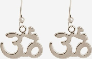 Gemshine Earrings in Silver: front