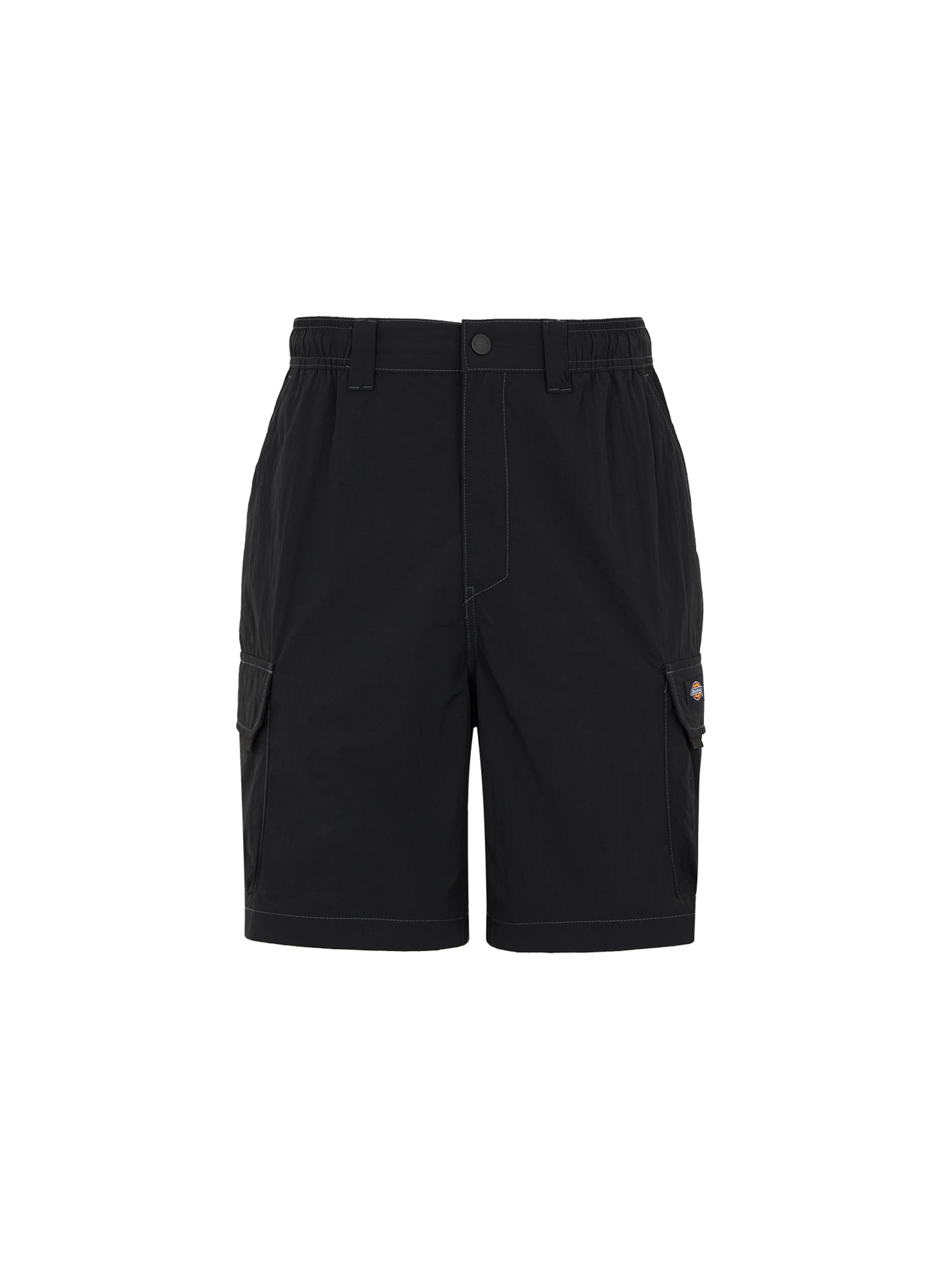 DICKIES Обычный Брюки-карго 'Jackson' в Черный: спереди