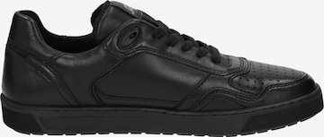 SIOUX Sneakers ' Tedroso-704 ' in Black