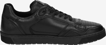 SIOUX Sneaker low ' Tedroso-704 ' in Schwarz