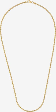 ELLI PREMIUM Kette in Gold: predná strana